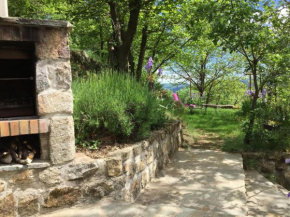 Гостиница Cozy Holiday Home in Saint-Pierre-de-Colombier with Terrace  Сен-Пьер-Де-Коломбье